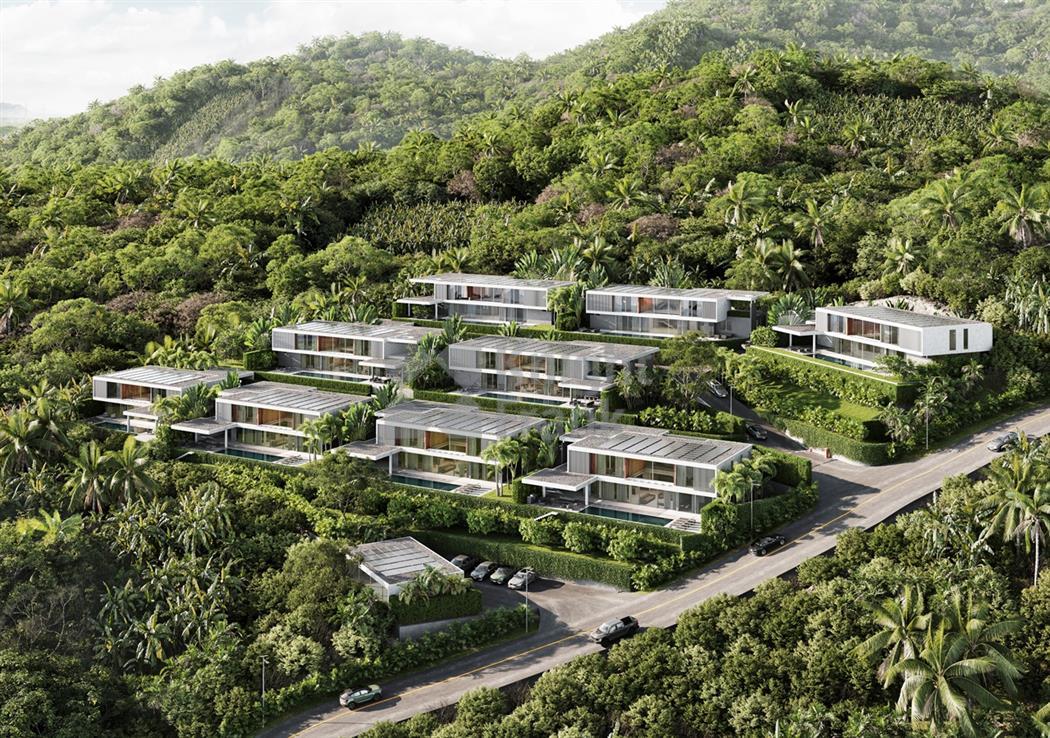 Canopy Hills