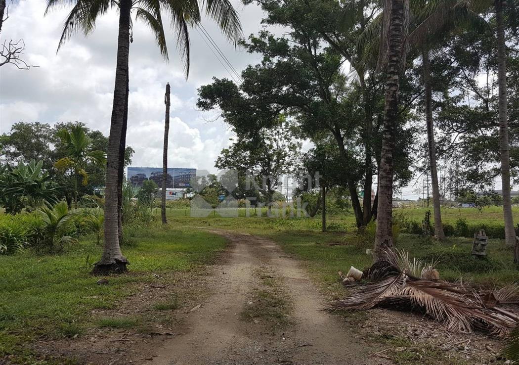 Land Koh Kaew 7.5 Rai